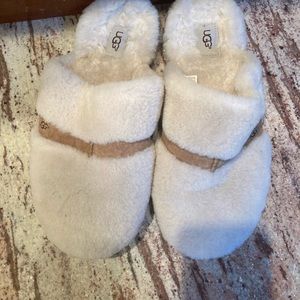 Off white wool with brown band